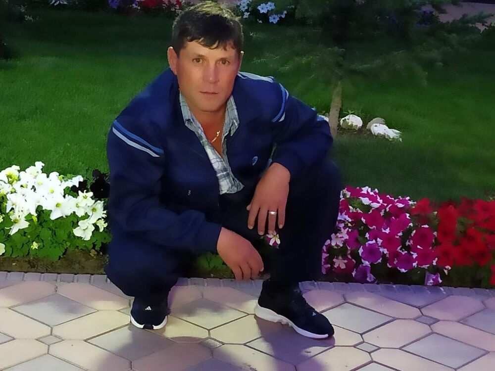  40737814  , 43 ,    