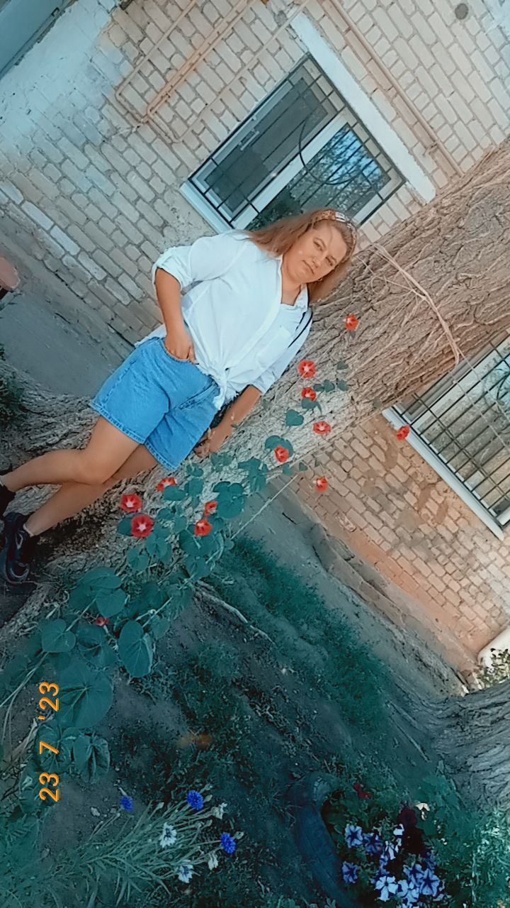  43004324  , 27 ,    