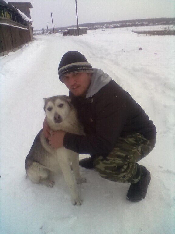 ���������� ������, ���� ������� ����, 41 ���, ������������ ��� ������, ����� � ���������, c�������� ���������