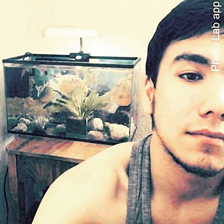 ���� 20331874 ������� ����, 31 ���, ���� ���������� � �������