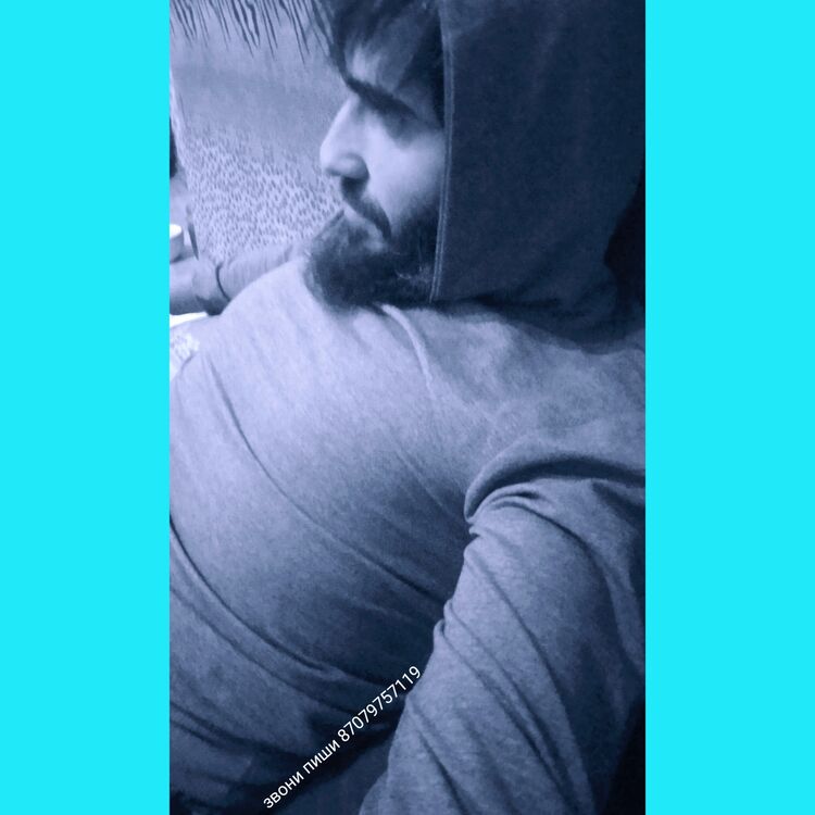 ���� 33508344 ������� HAN, 40 ���, ���� ���������� � ������