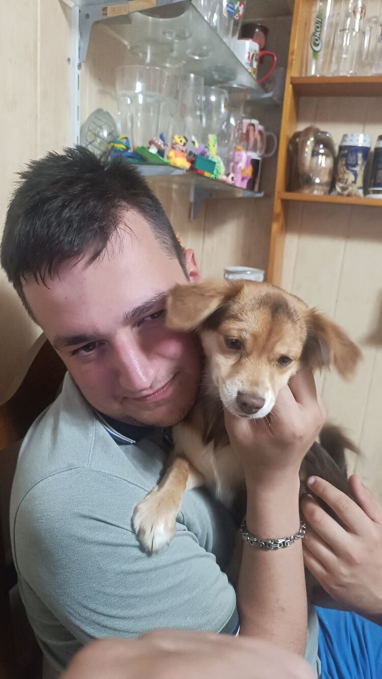 ���� 53367554 ������� M M, 26 ���, ���� ���������� � ������