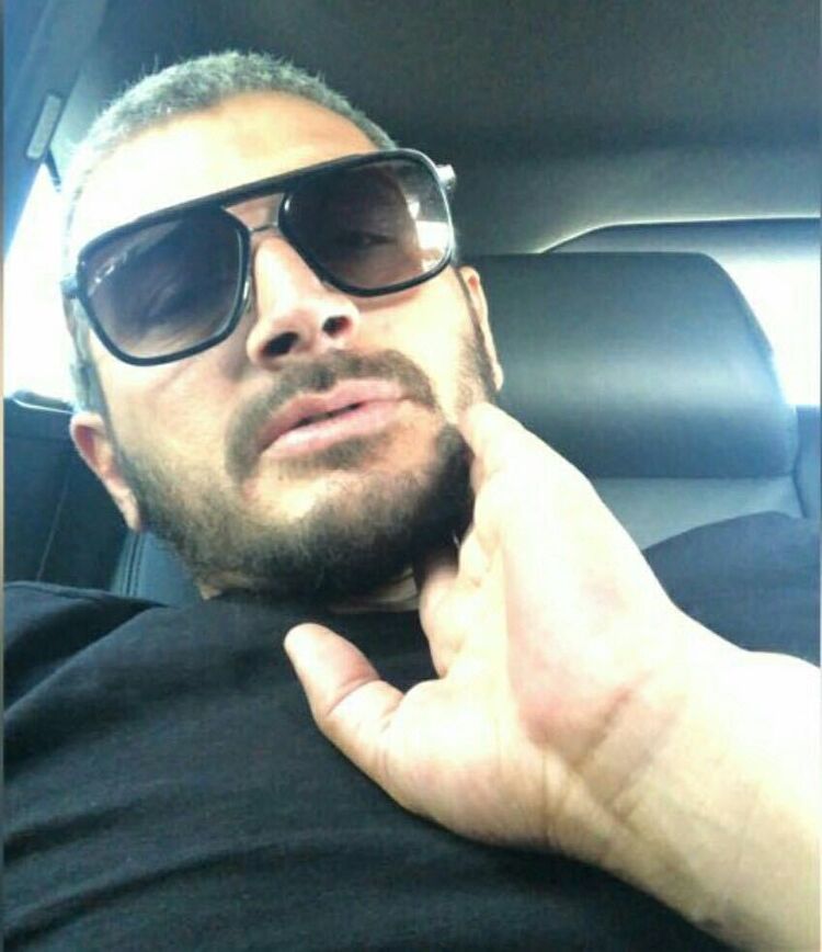  --,   , 41 ,   ,   