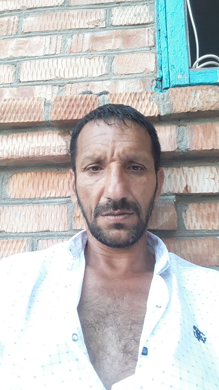  23367874  , 48 ,    