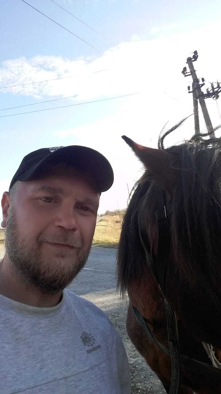  45922294  , 42 ,     