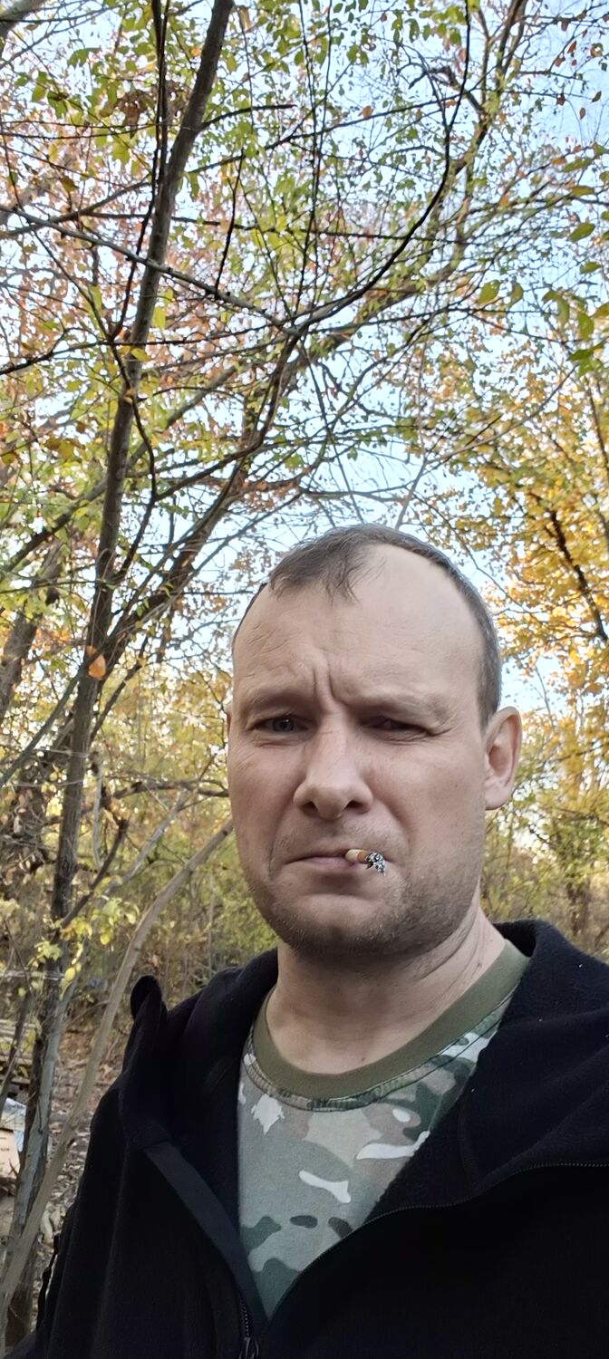  49373164  , 47 ,    