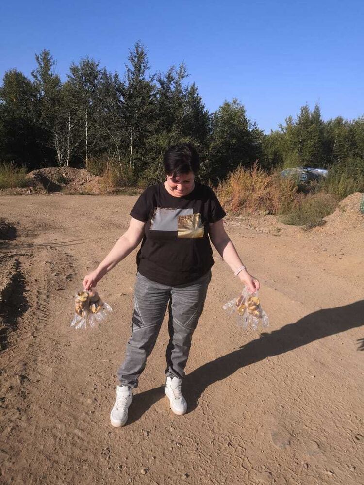  42955364  , 44 ,    
