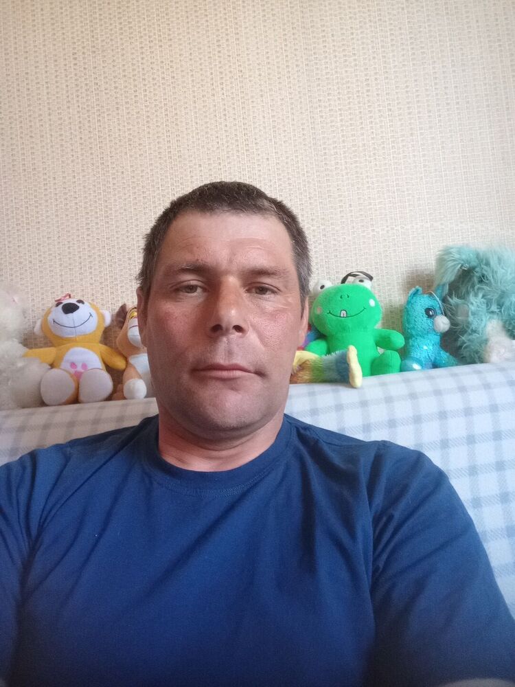  43636134  , 41 ,    