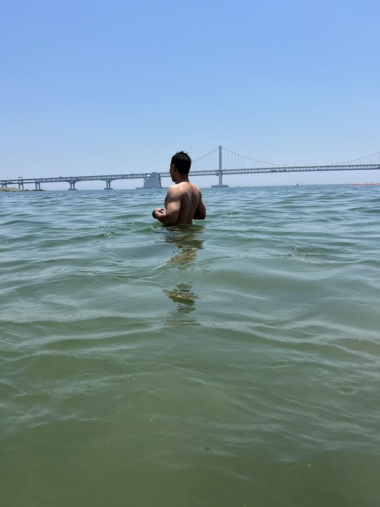 ���������� �������, ���� ������� ����, 31 ���, ������������ ��� ������, ����� � ���������, c�������� ���������, ���������