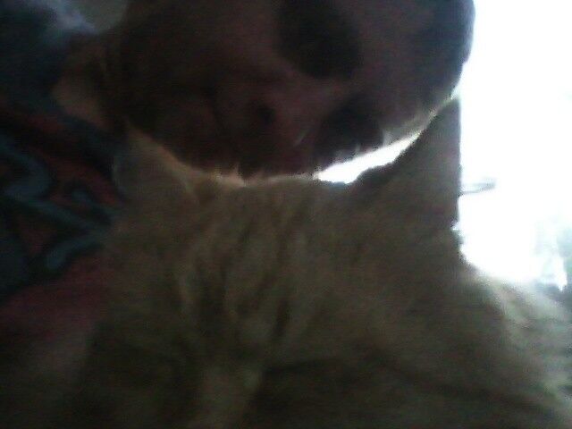 ���� 9392944 ������� ������, 45 ���, ���� ���������� � ����������