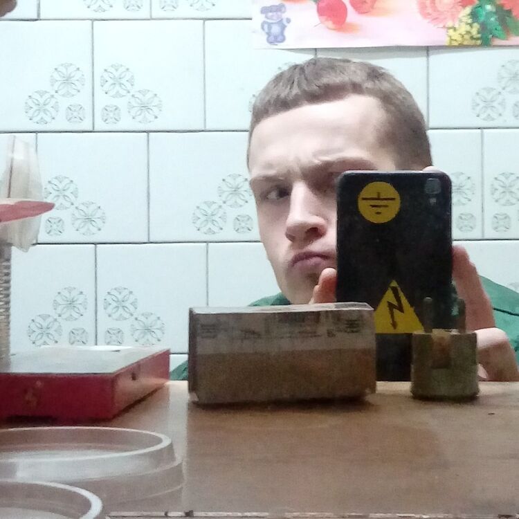  12166724  , 28 ,    