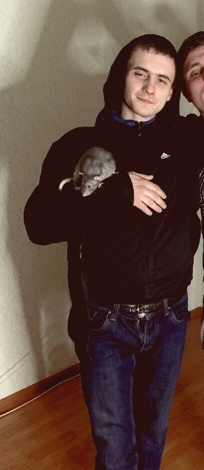 ���� 25916834 ������� ����, 26 ���, ���� ���������� � �������