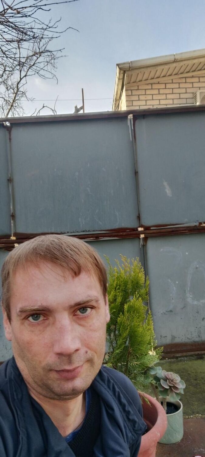  39543774  , 40 ,    