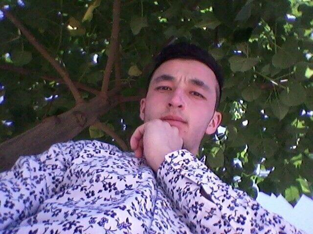  21011474  Sardor, 28 ,    