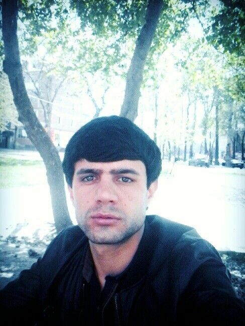  ,   DILOVAR, 33 ,   ,   , c 