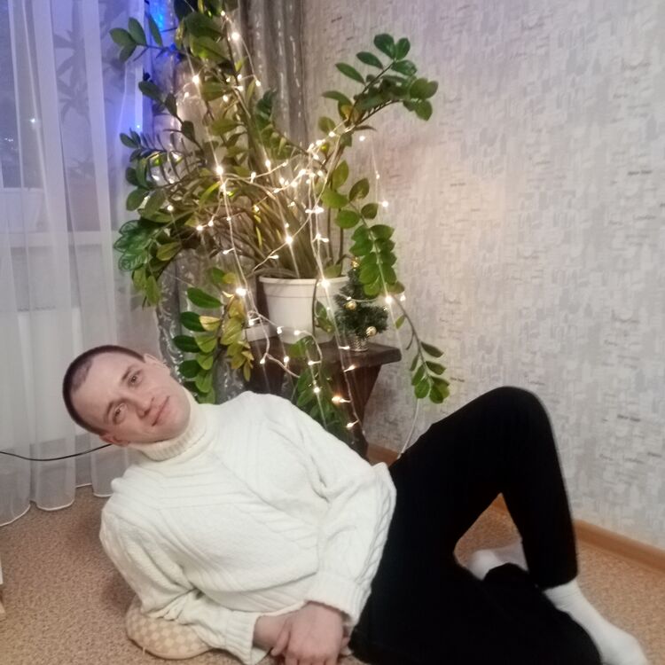 ���� 49302464 ������� �������, 34 ����, ���� ���������� � �����������