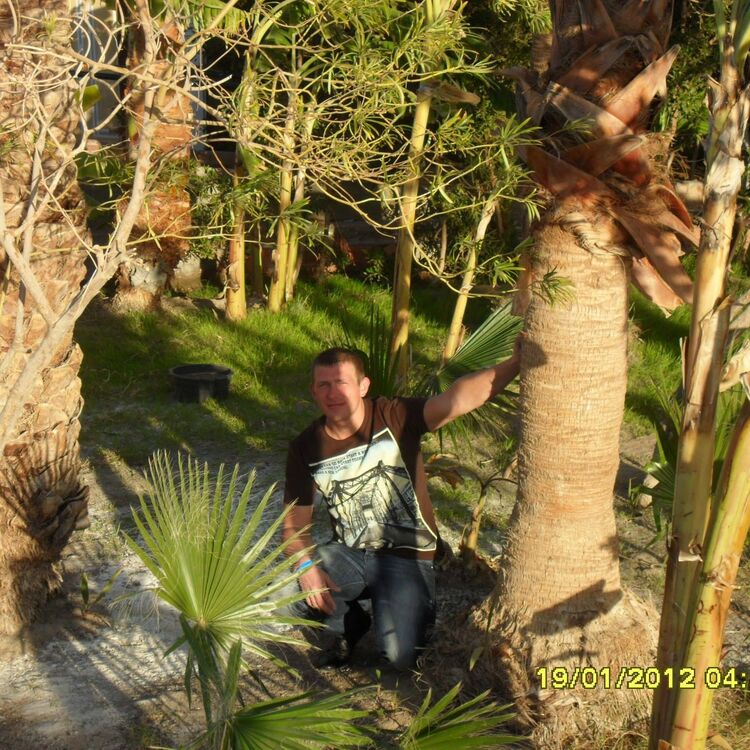  ,   , 41 ,   ,   