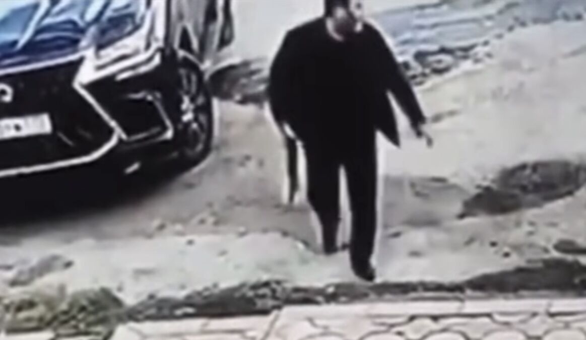 ���� 43690064 ����� ������������, 20 ���, ���� ���������� � ������