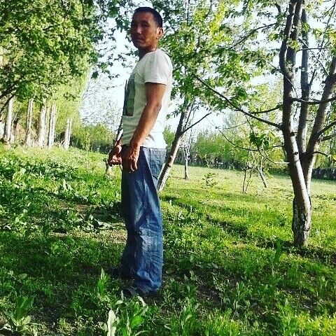  -,   , 48 ,   ,   , c 