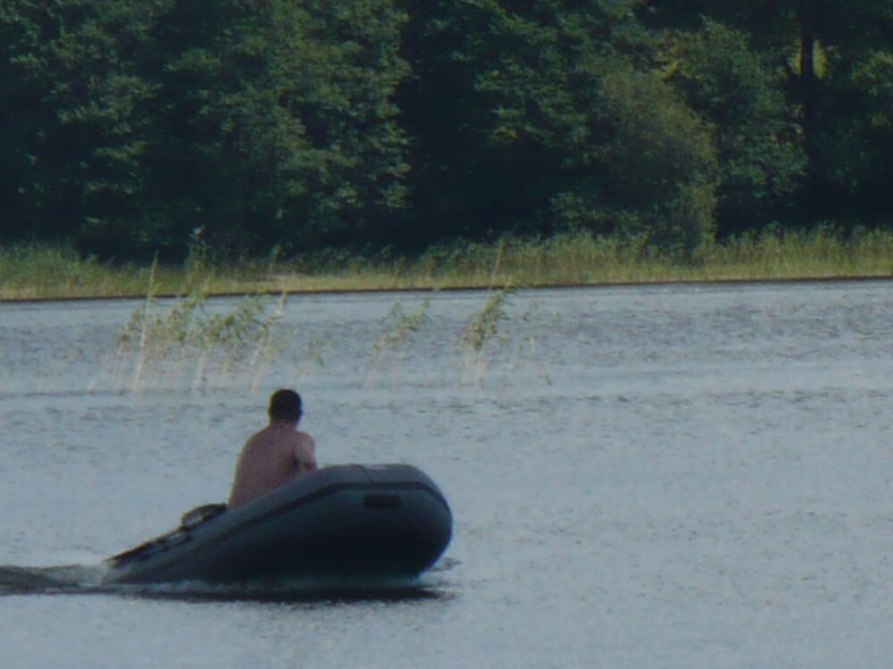 ���������� ������, ���� ������� �������, 48 ���, ������������ ��� ������, ����� � ���������, c�������� ���������