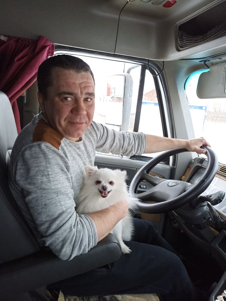 ���� 31367464 ������� �����, 40 ���, ���� ���������� � �����