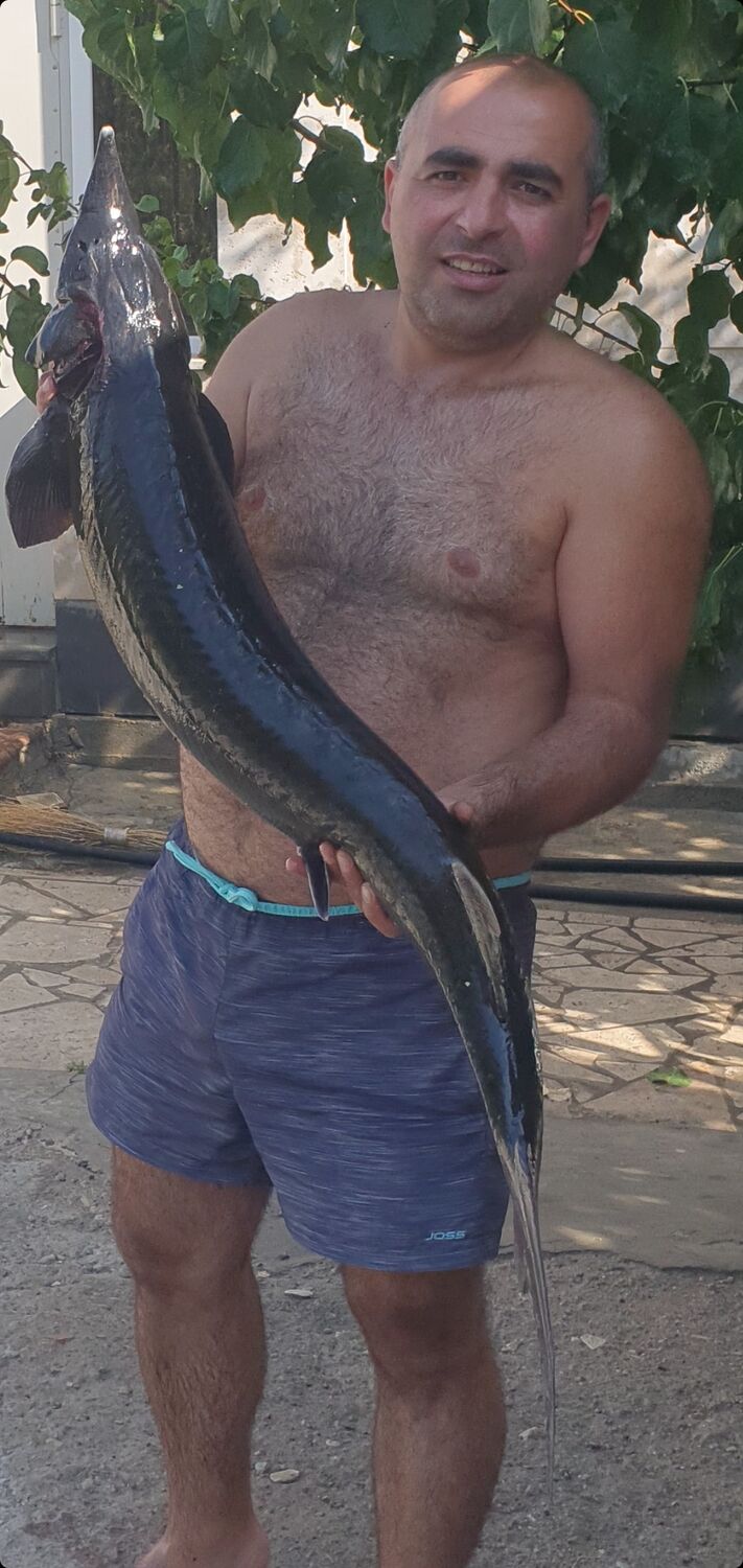  38528934  , 40 ,    