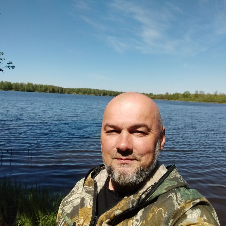  44643384  , 51 ,    