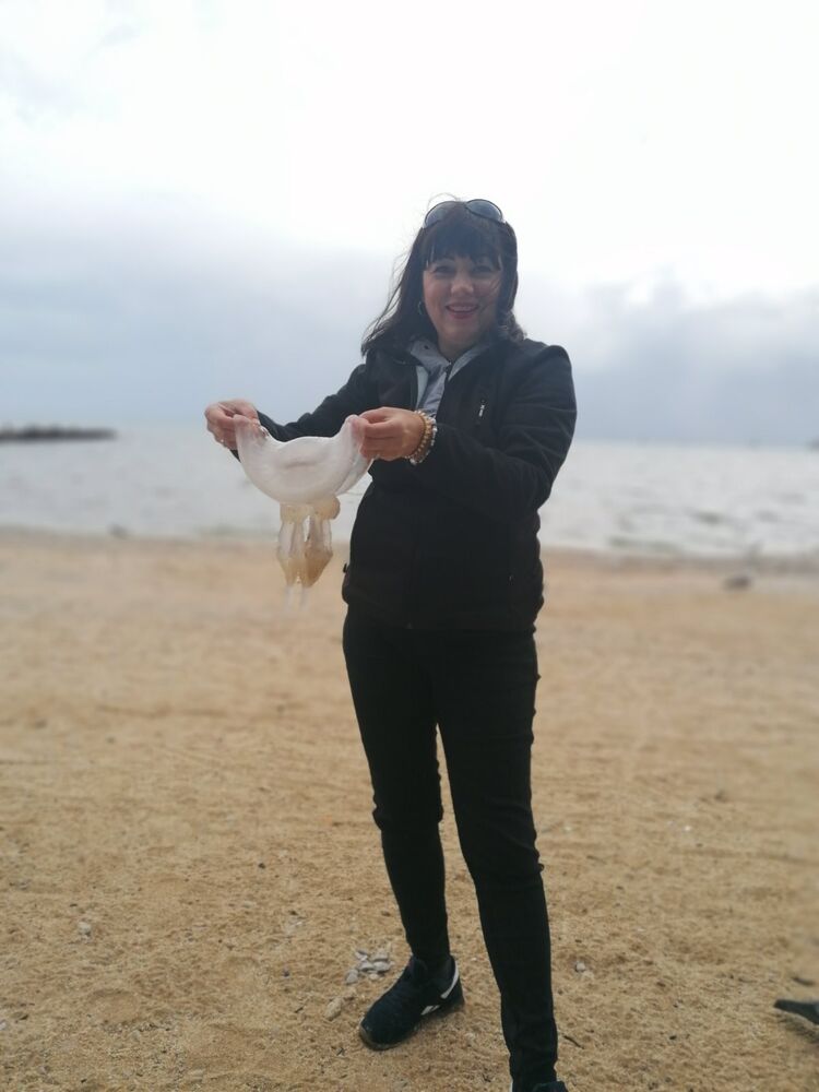 ���������� ������-��-����, ���� ������� �����, 50 ���, ������������ ��� ������, ����� � ���������