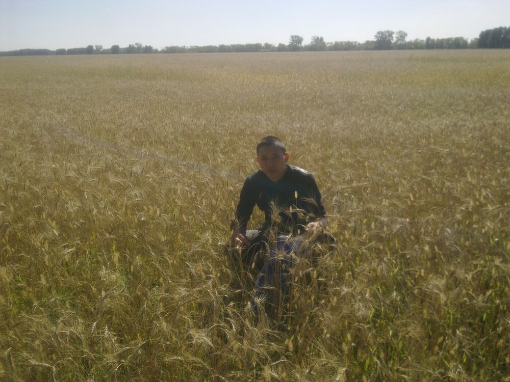 ���� 4033514 ������� ��������, 34 ����, ���� ���������� � ��������