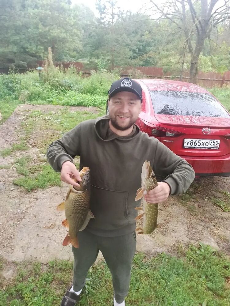  30865434  , 33 ,    