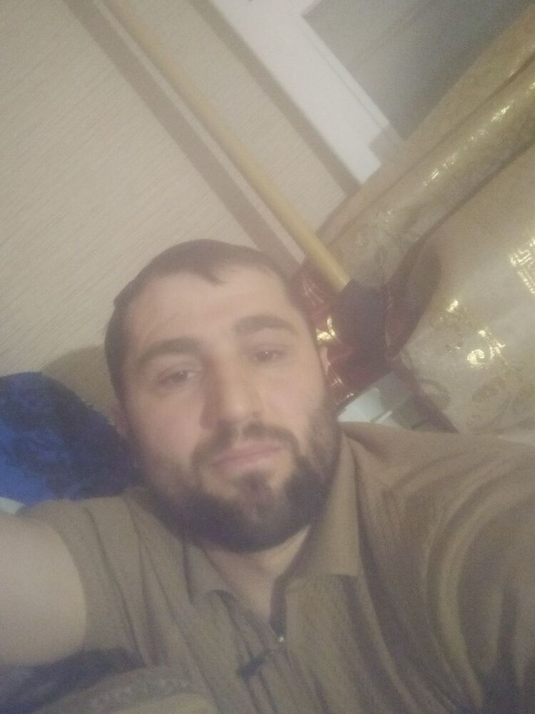  31323654  , 37 ,    