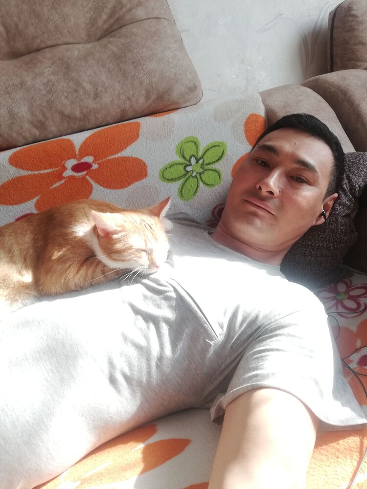  ,   , 43 ,   ,   