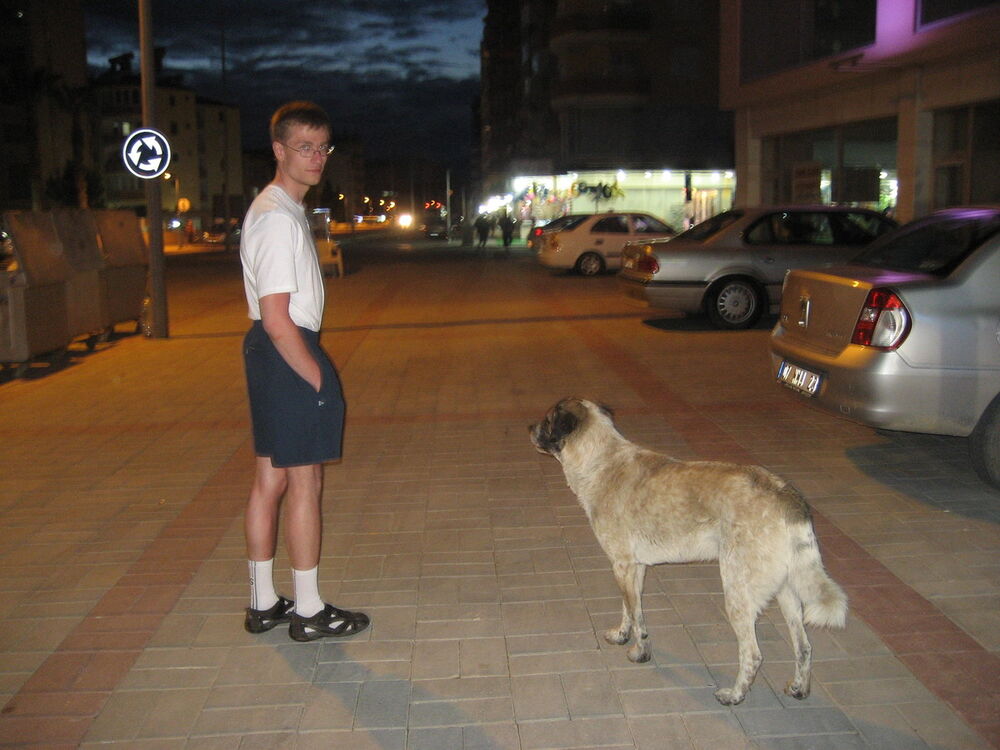 ���������� �����-���������, ���� ������� ����, 37 ���, ������������ ��� ������