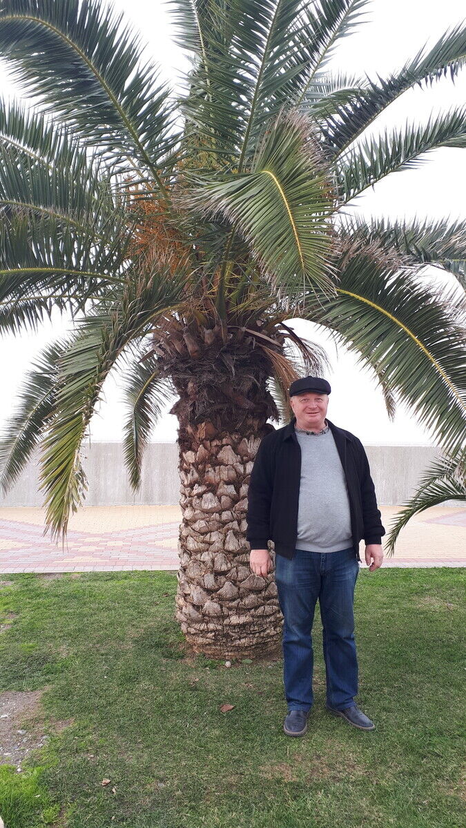 ���� 20497624 ������� ��������, 60 ���, ���� ���������� � ����������