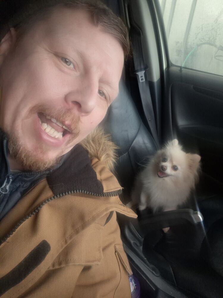 ���� 55288604 ������� �����, 42 ����, ���� ���������� � ������