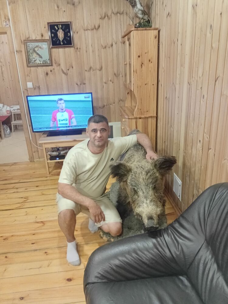 ���� 55719534 ������� �������, 38 ���, ���� ���������� � ���������