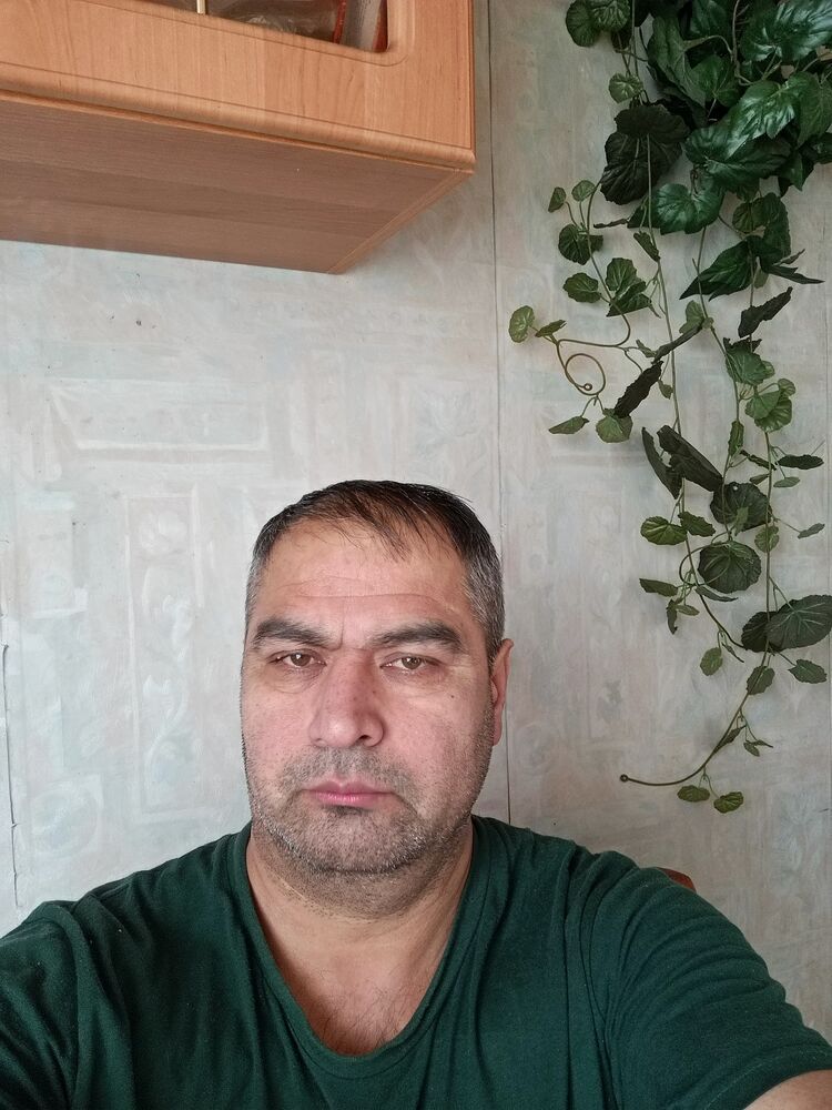  34081754  , 48 ,    