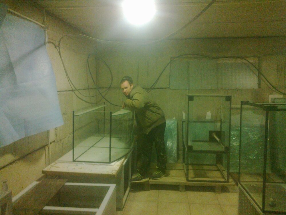 ���������� �����, ���� ������� ������, 39 ���, ������������ ��� ������