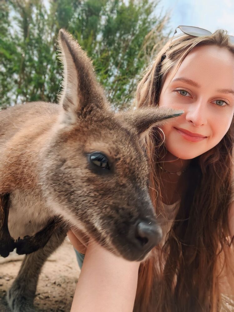 ���������� ������, ���� ������� ���������, 29 ���, ������������ ��� c�������� ���������