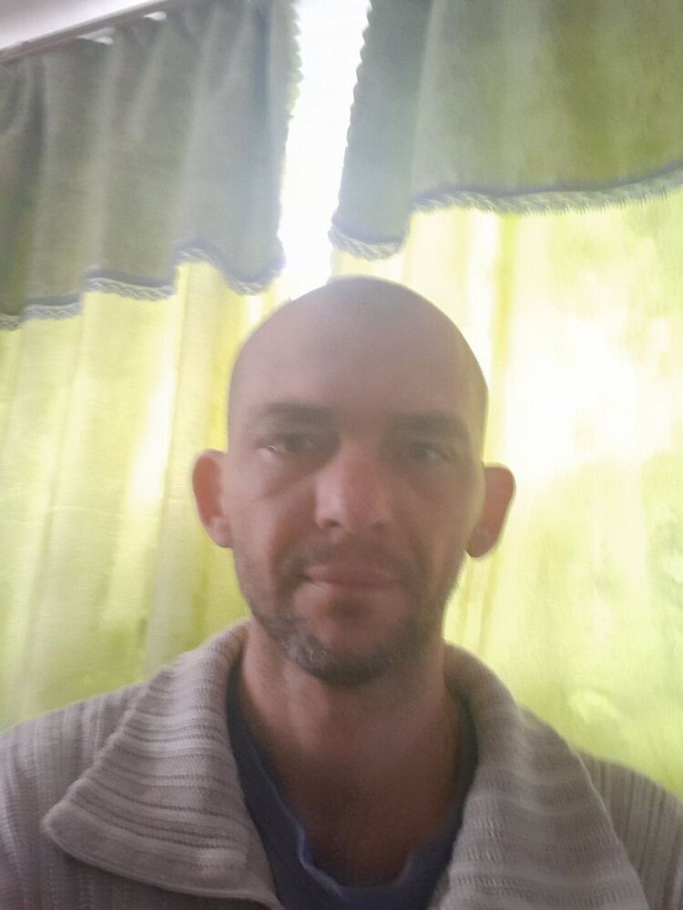  41313834  , 36 ,    --