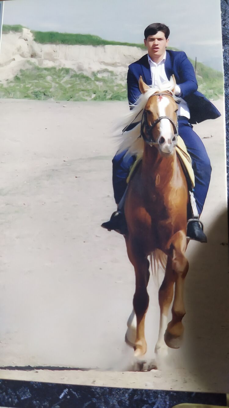 ���� 23385774 ������� ����, 26 ���, ���� ���������� � �������