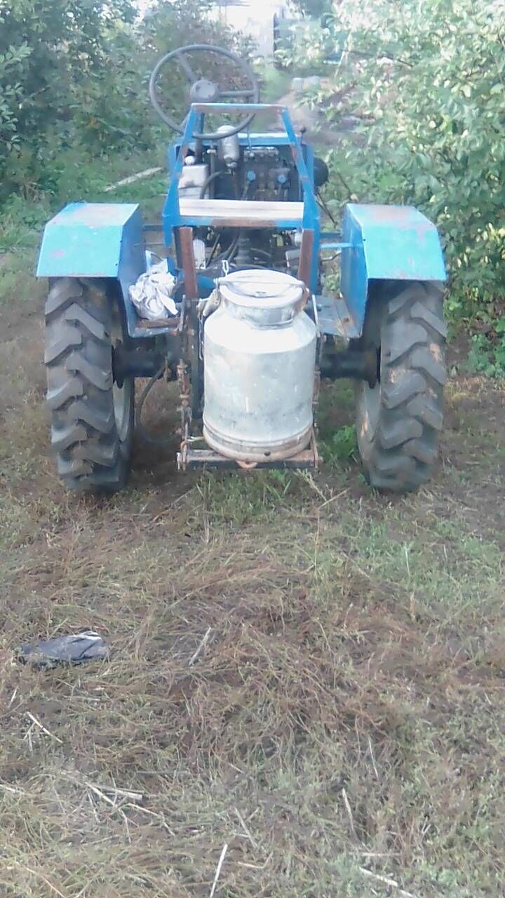  31137944  , 31 ,    