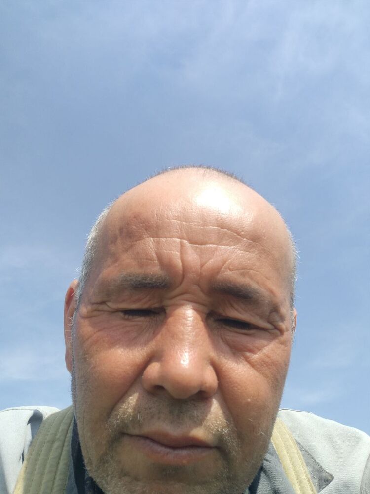  51137814  , 54 ,    