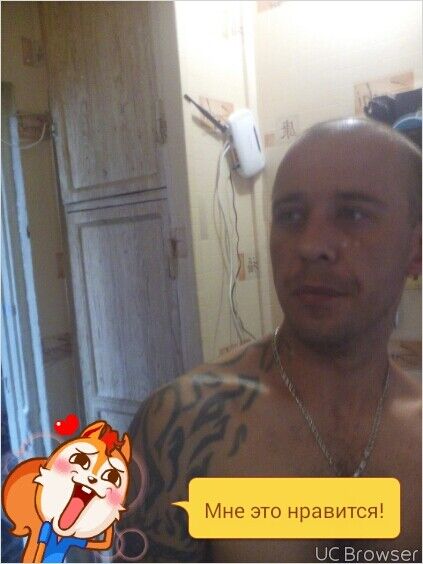  8155894  , 40 ,    