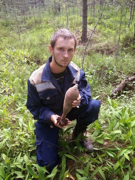 ���������� �����-���������, ���� ������� �������, 37 ���, ������������ 