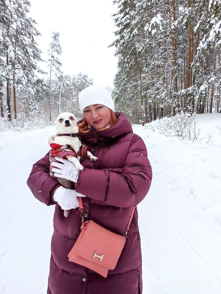 ���������� ���������, ���� ������� �������, 57 ���, ������������ ��� c�������� ���������