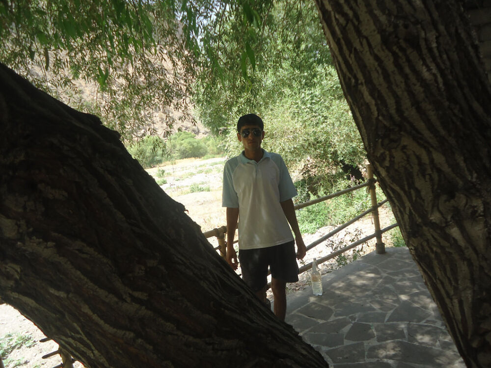  ,   Vardan, 33 ,   ,   , c 