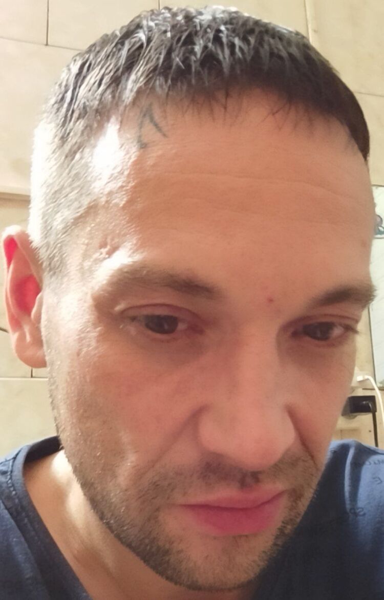  36537554  , 44 ,    