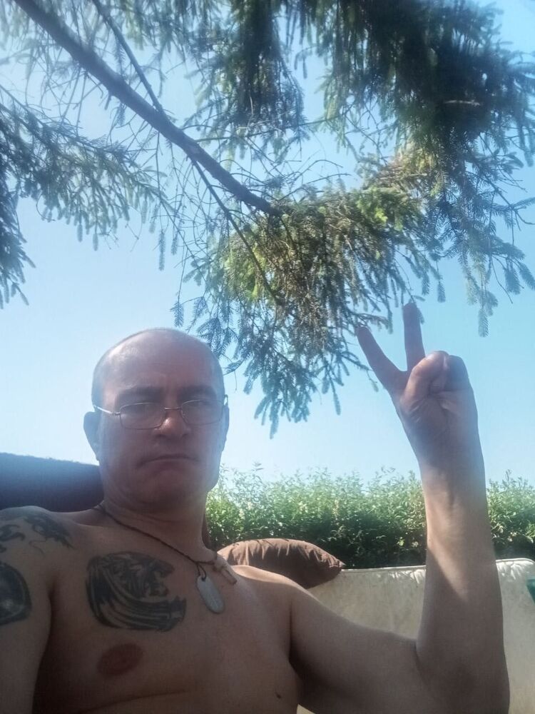  53080394  , 46 ,    