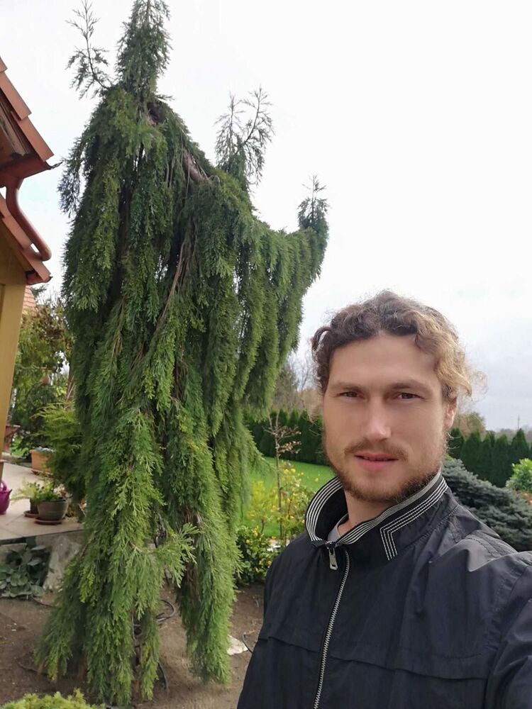 ���������� �������, ���� ������� ���, 36 ���, ������������ ��� ����� � ���������, c�������� ���������